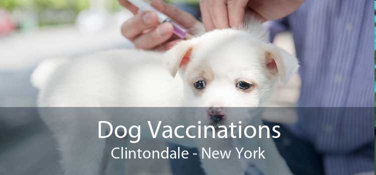 Dog Vaccinations Clintondale - New York