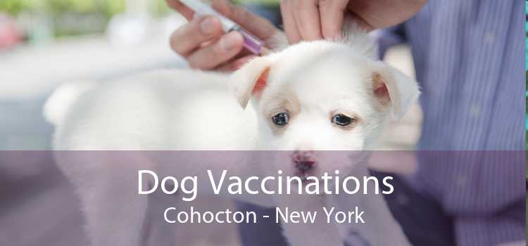 Dog Vaccinations Cohocton - New York