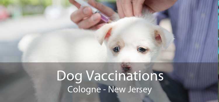 Dog Vaccinations Cologne - New Jersey