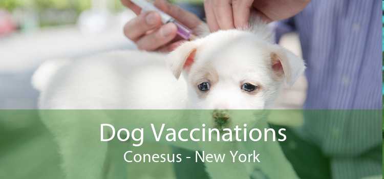 Dog Vaccinations Conesus - New York