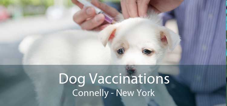 Dog Vaccinations Connelly - New York