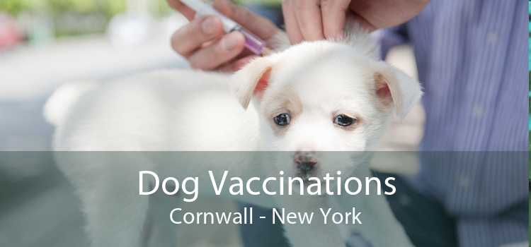 Dog Vaccinations Cornwall - New York