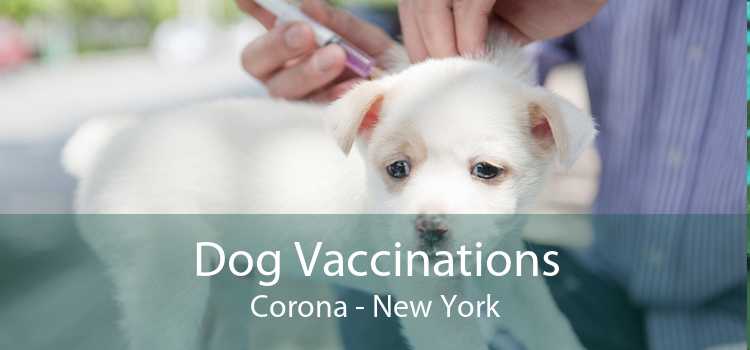Dog Vaccinations Corona - New York