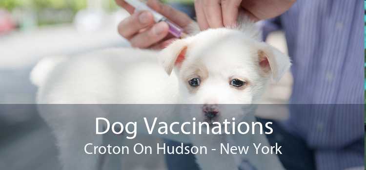 Dog Vaccinations Croton On Hudson - New York