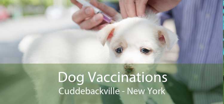 Dog Vaccinations Cuddebackville - New York