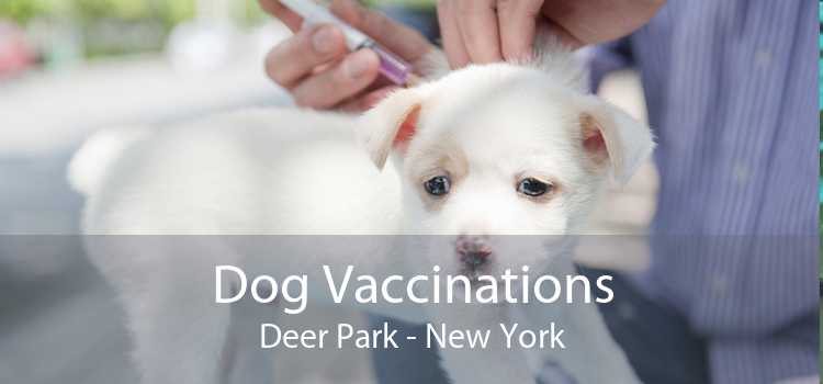 Dog Vaccinations Deer Park - New York