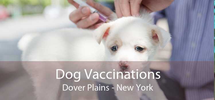 Dog Vaccinations Dover Plains - New York