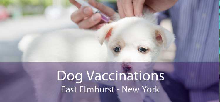 Dog Vaccinations East Elmhurst - New York