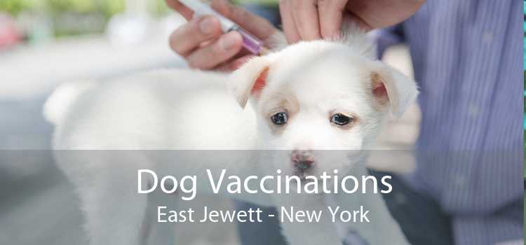 Dog Vaccinations East Jewett - New York