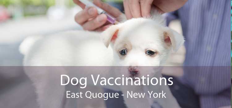 Dog Vaccinations East Quogue - New York