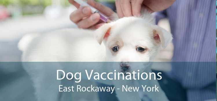 Dog Vaccinations East Rockaway - New York