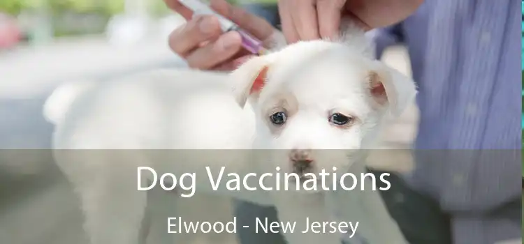Dog Vaccinations Elwood - New Jersey