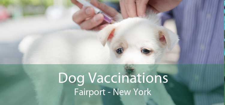 Dog Vaccinations Fairport - New York