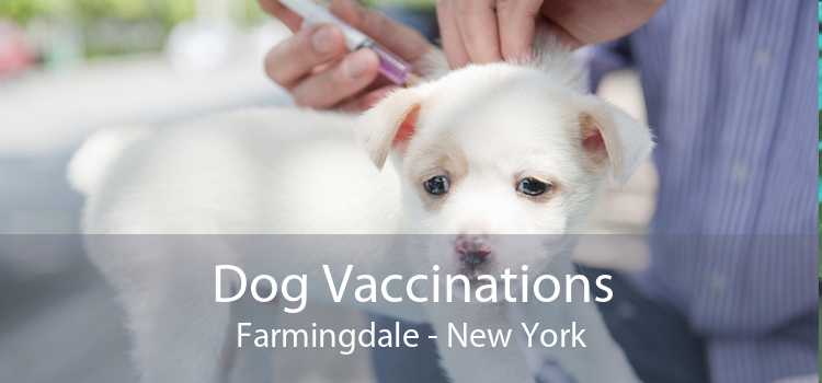 Dog Vaccinations Farmingdale - New York