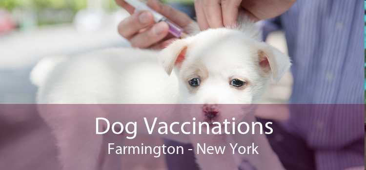 Dog Vaccinations Farmington - New York