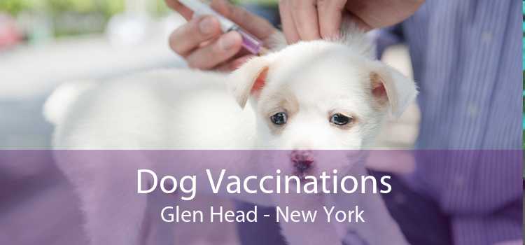 Dog Vaccinations Glen Head - New York