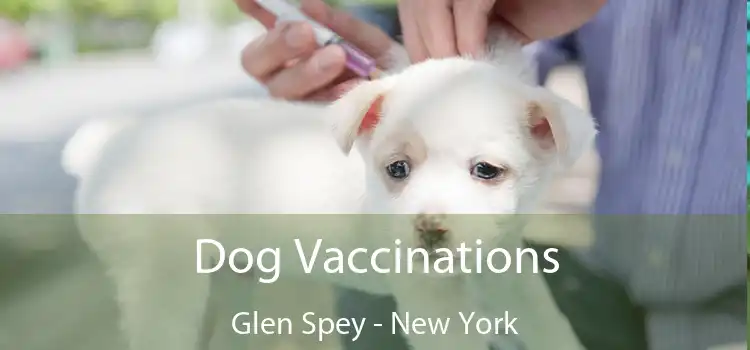 Dog Vaccinations Glen Spey - New York