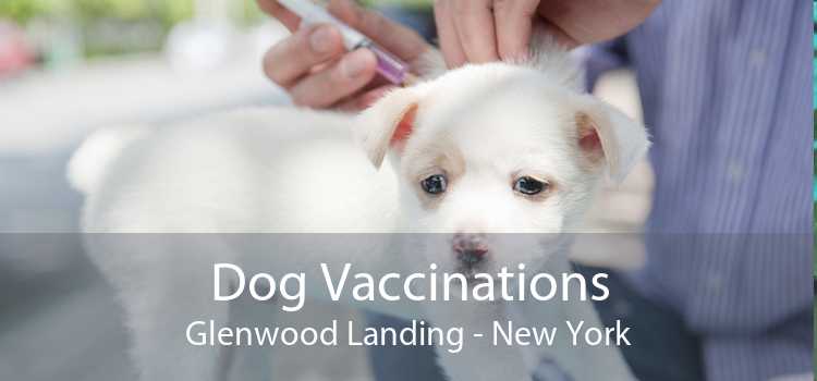 Dog Vaccinations Glenwood Landing - New York