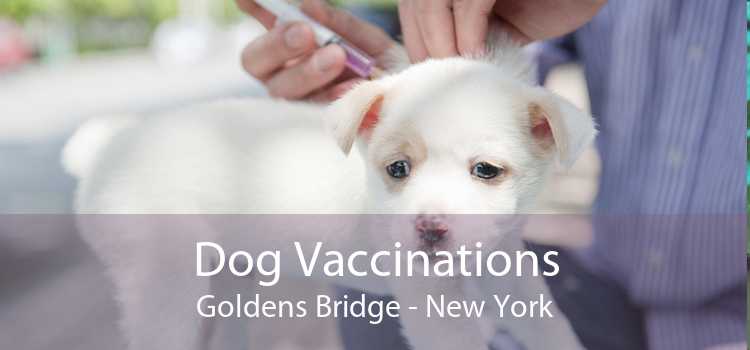 Dog Vaccinations Goldens Bridge - New York