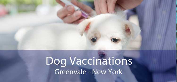 Dog Vaccinations Greenvale - New York