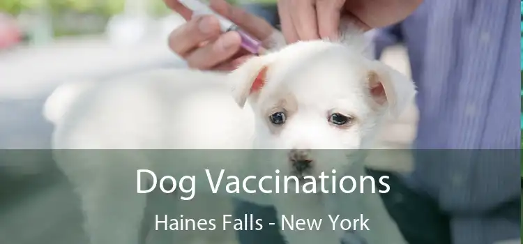 Dog Vaccinations Haines Falls - New York