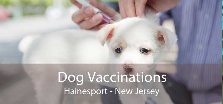 Dog Vaccinations Hainesport - New Jersey