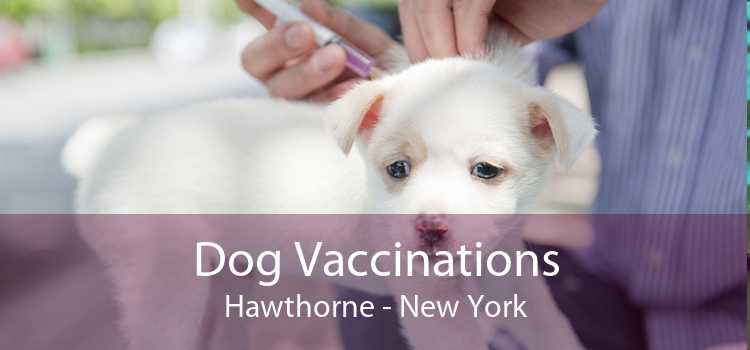 Dog Vaccinations Hawthorne - New York