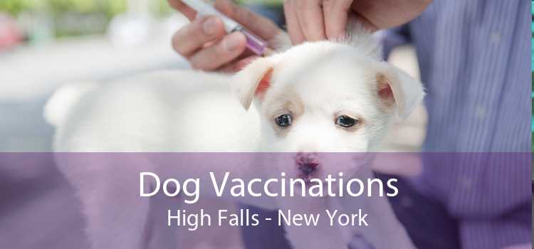 Dog Vaccinations High Falls - New York