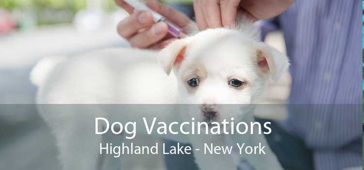 Dog Vaccinations Highland Lake - New York