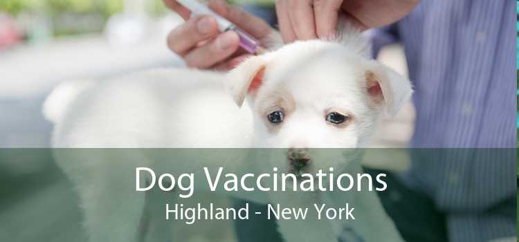 Dog Vaccinations Highland - New York
