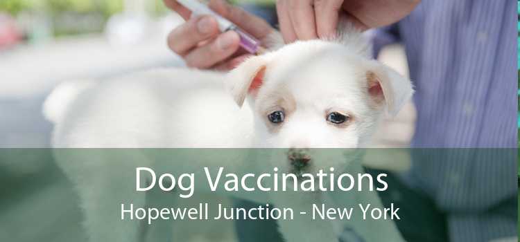 Dog Vaccinations Hopewell Junction - New York