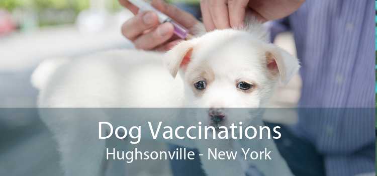 Dog Vaccinations Hughsonville - New York