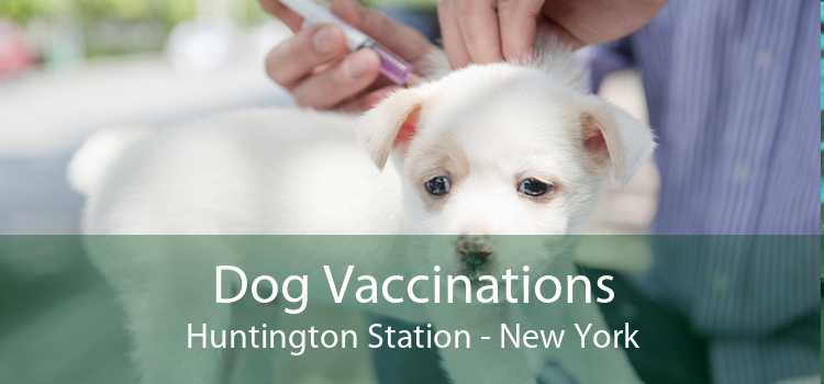 Dog Vaccinations Huntington Station - New York