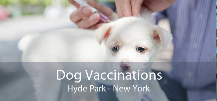 Dog Vaccinations Hyde Park - New York