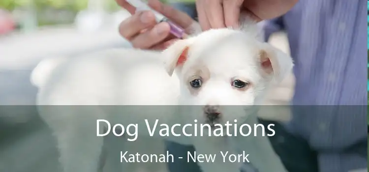 Dog Vaccinations Katonah - New York