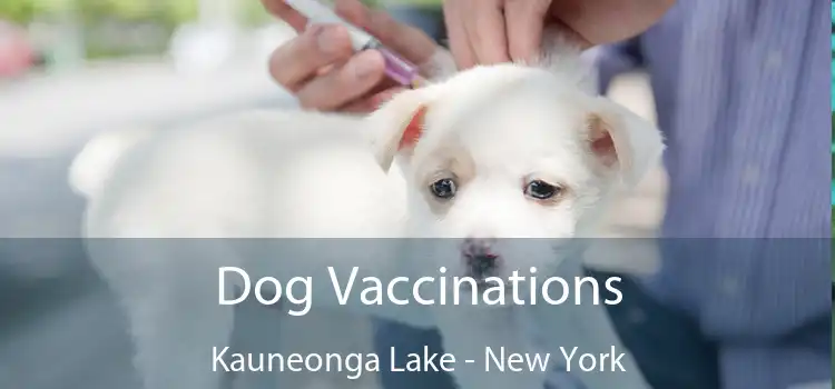 Dog Vaccinations Kauneonga Lake - New York