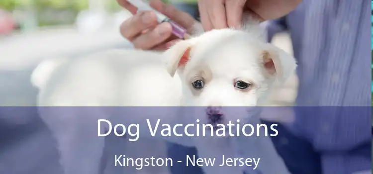 Dog Vaccinations Kingston - New Jersey
