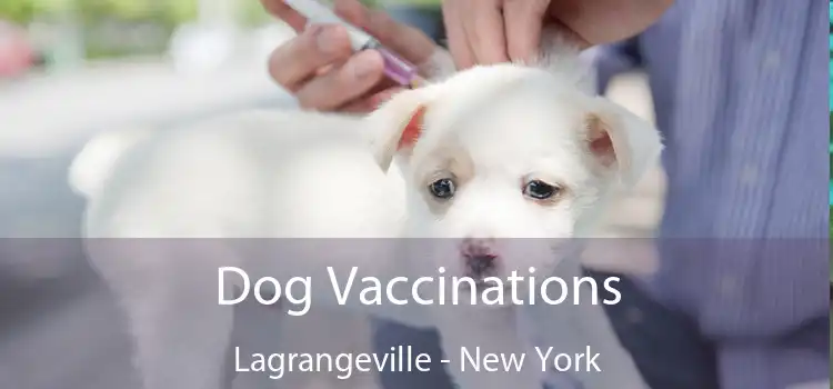 Dog Vaccinations Lagrangeville - New York