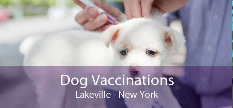 Dog Vaccinations Lakeville - New York