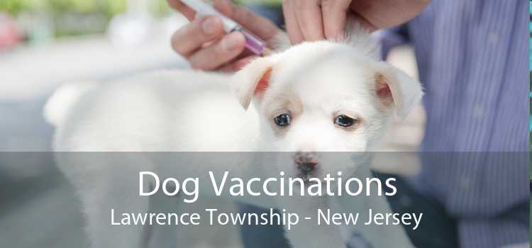 Dog Vaccinations Lawrence Township - New Jersey