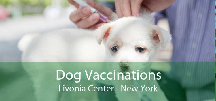 Dog Vaccinations Livonia Center - New York