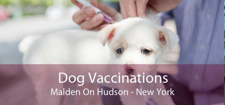 Dog Vaccinations Malden On Hudson - New York