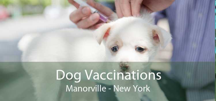 Dog Vaccinations Manorville - New York