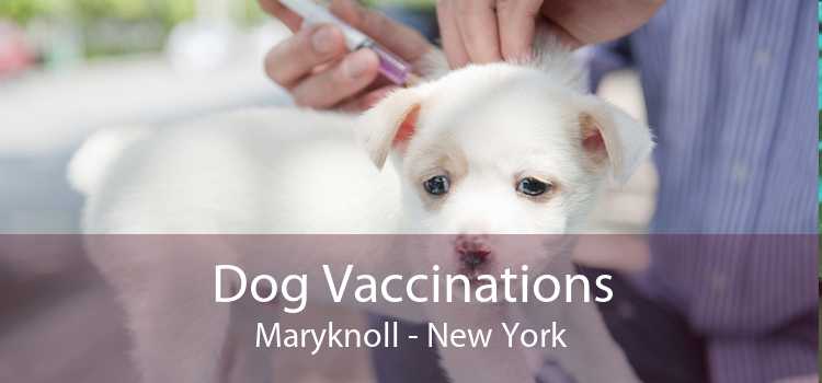 Dog Vaccinations Maryknoll - New York