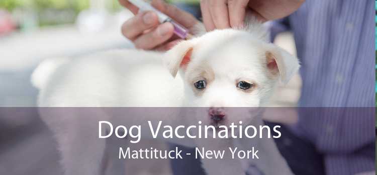 Dog Vaccinations Mattituck - New York