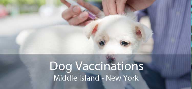 Dog Vaccinations Middle Island - New York