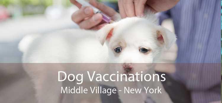 Dog Vaccinations Middle Village - New York