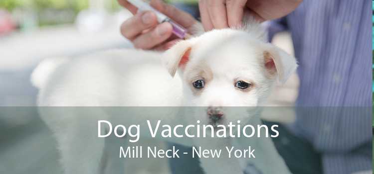 Dog Vaccinations Mill Neck - New York