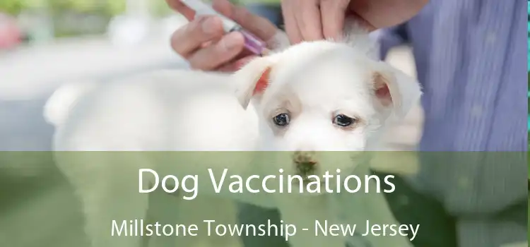 Dog Vaccinations Millstone Township - New Jersey