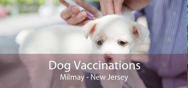 Dog Vaccinations Milmay - New Jersey